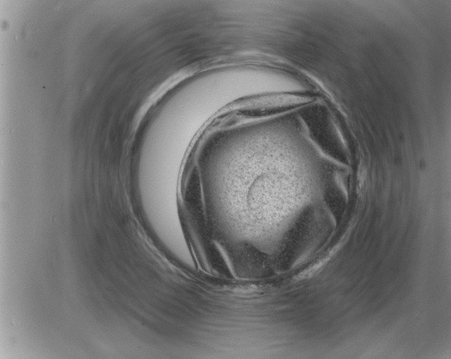 X0000085291410200703231821