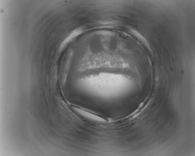 X0000085291411200703231821