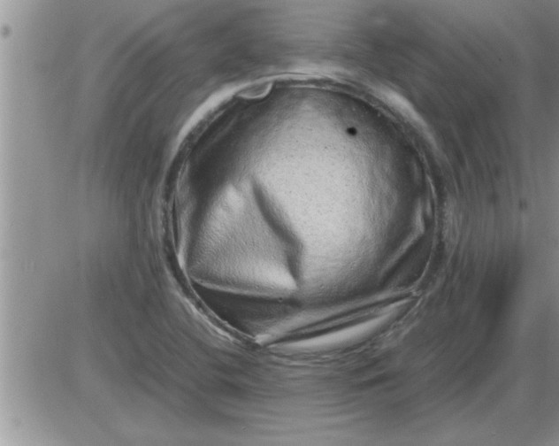 X0000085291412200703231821