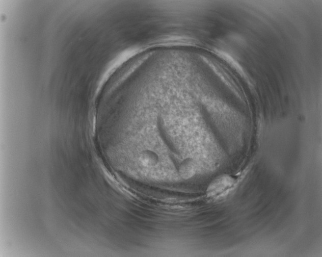 X0000085291413200703231821