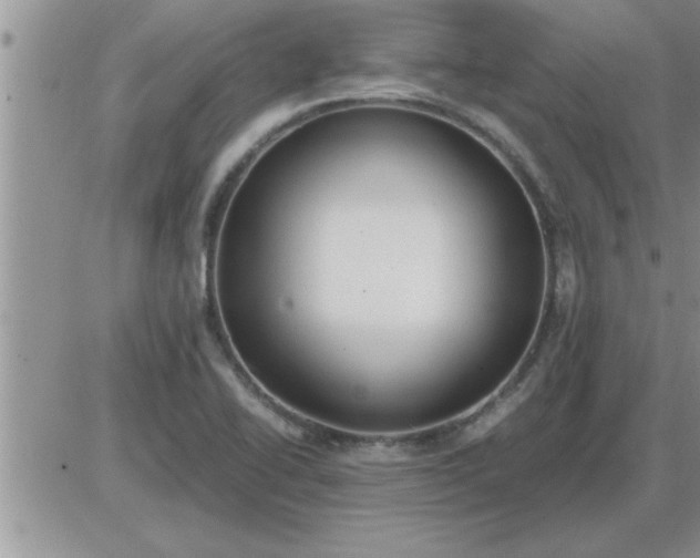 X0000085291414200703231821