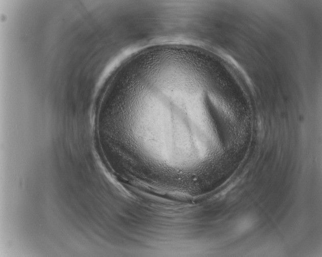 X0000085291416200703231821