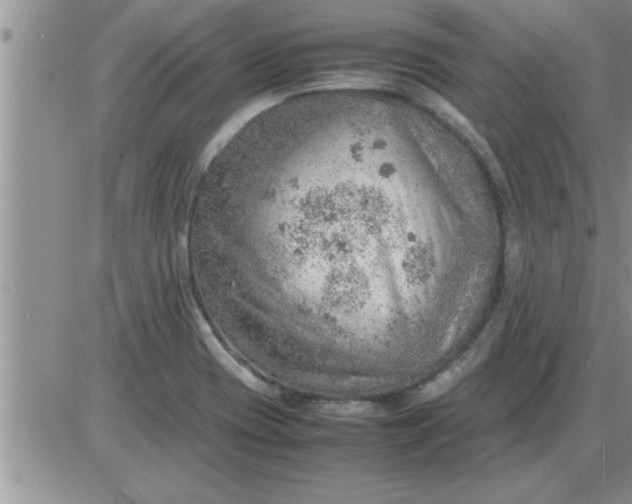 X0000085291417200703231821