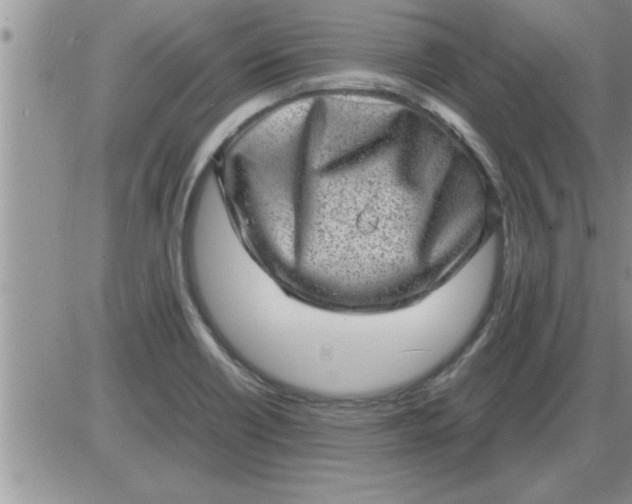 X0000085291418200703231821