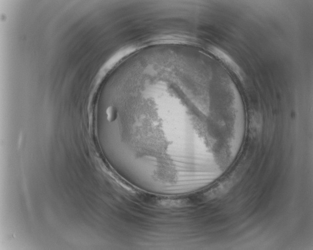 X0000085291419200703231821