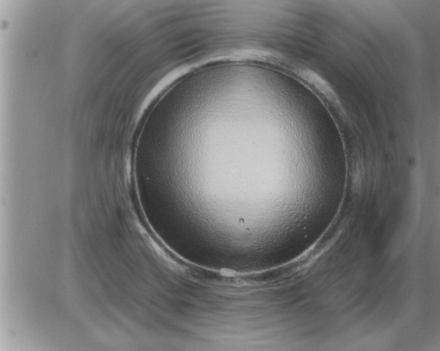 X0000085291420200703231821