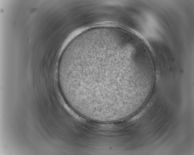 X0000085291421200703231821