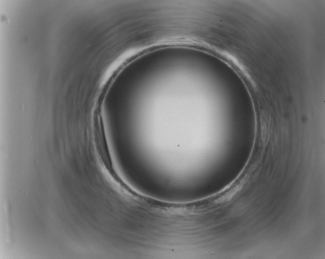 X0000085291422200703231821