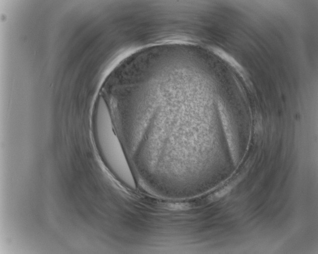 X0000085291423200703231821