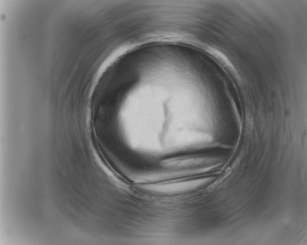 X0000085291424200703231821