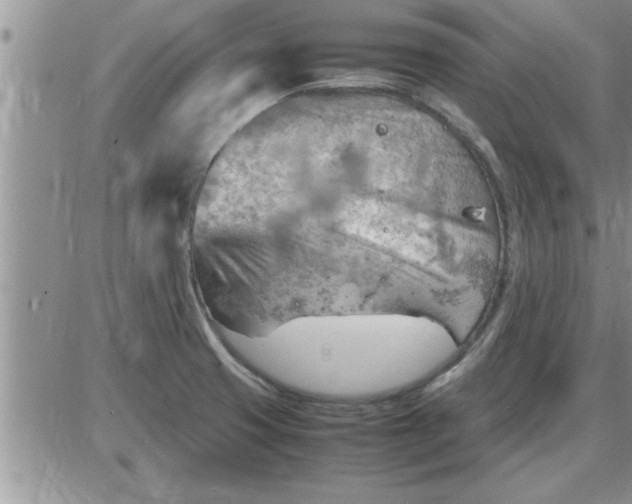 X0000085291425200703231821