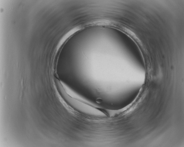 X0000085291426200703231821