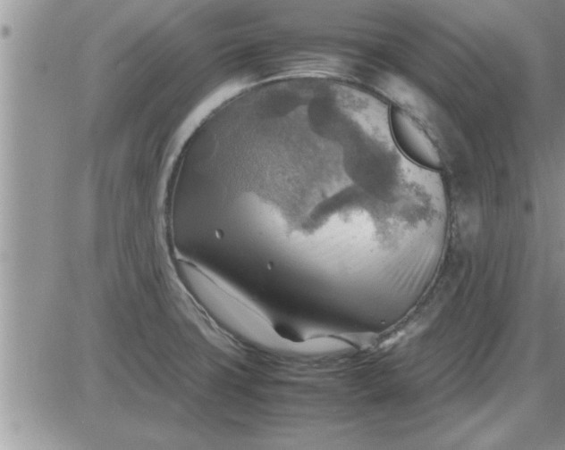 X0000085291427200703231821