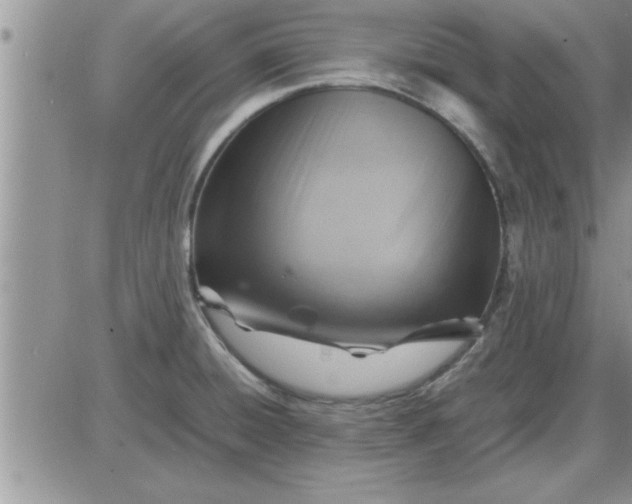 X0000085291428200703231821