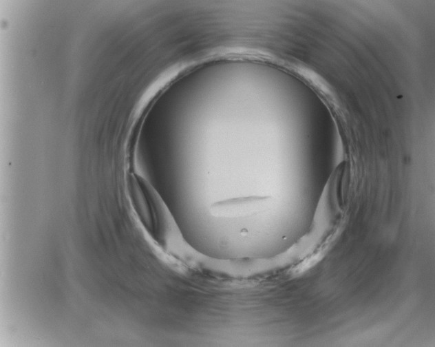 X0000085291430200703231821