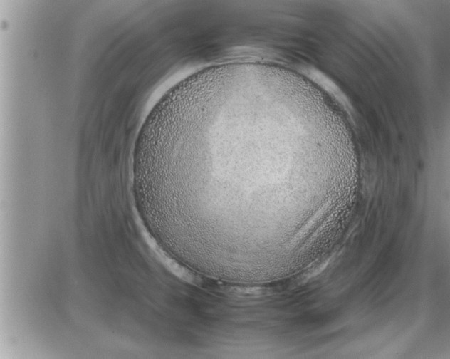 X0000085291431200703231821