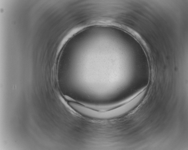 X0000085291432200703231821