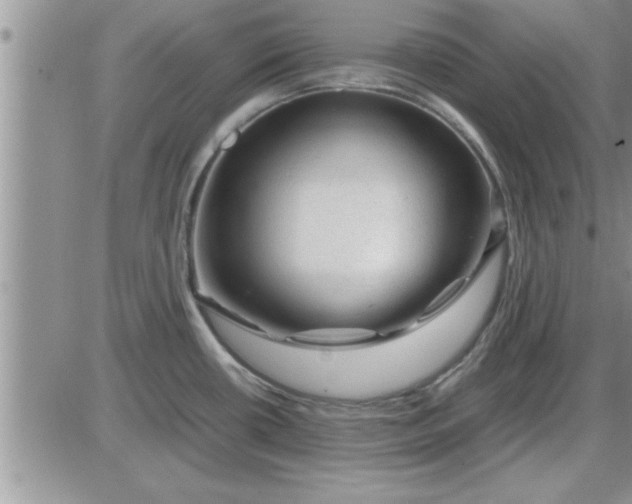 X0000085291434200703231821