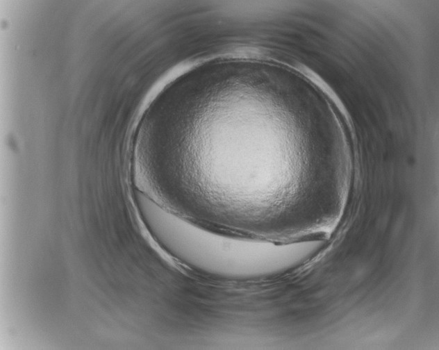 X0000085291437200703231821