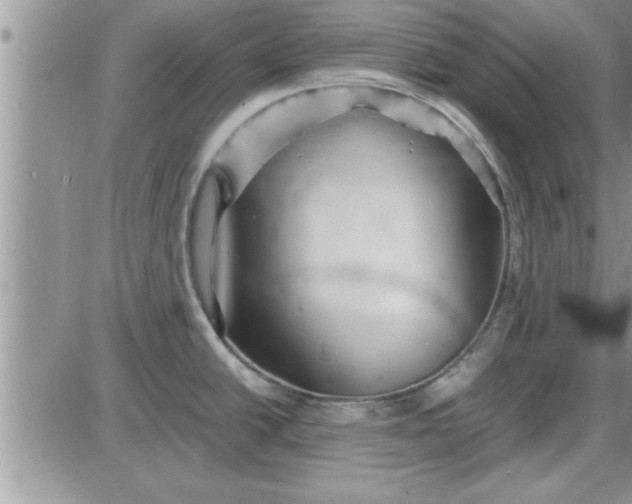 X0000085291438200703231821