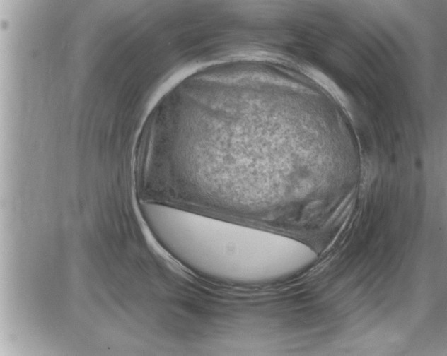 X0000085291439200703231821