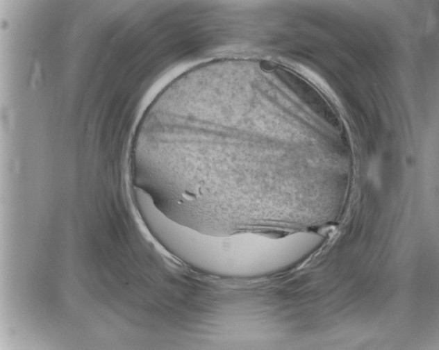 X0000085291440200703231821