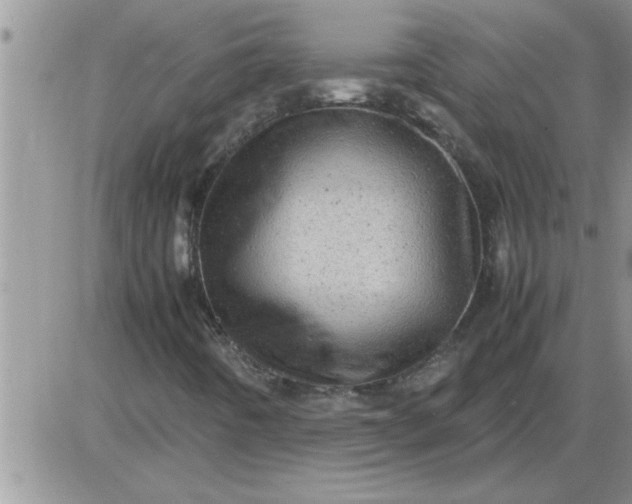 X0000085291442200703231821