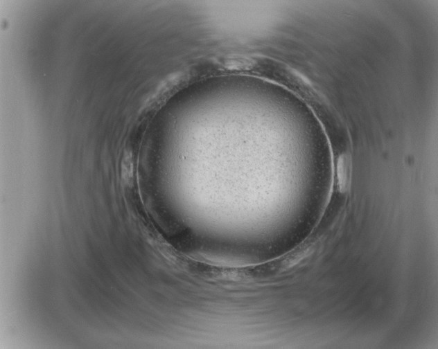 X0000085291443200703231820