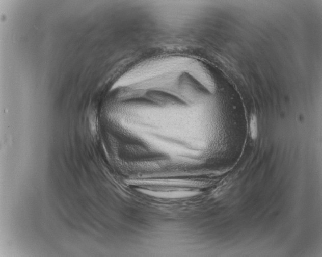 X0000085291444200703231820