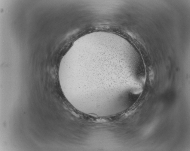 X0000085291445200703231820