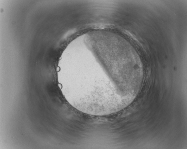 X0000085291446200703231820