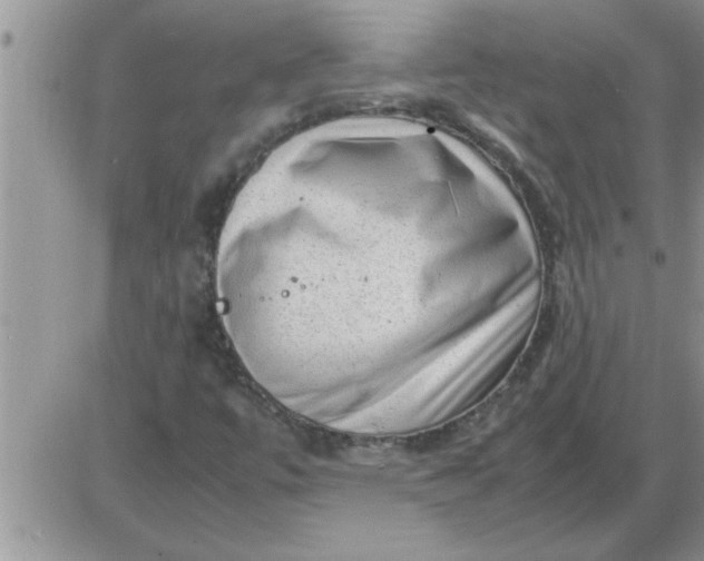 X0000085291447200703231820