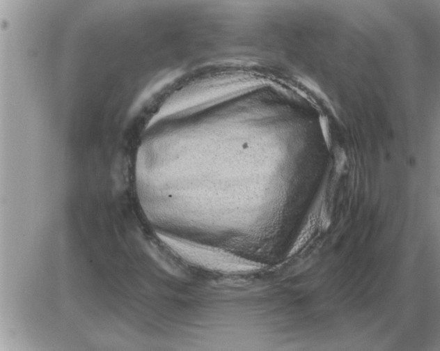 X0000085291448200703231820