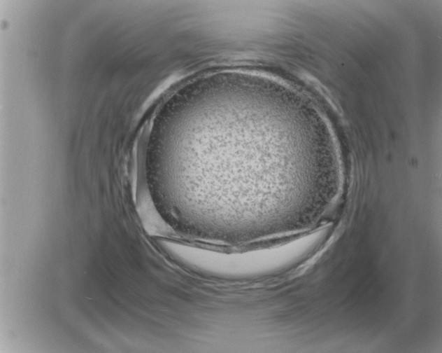 X0000085291449200703231820