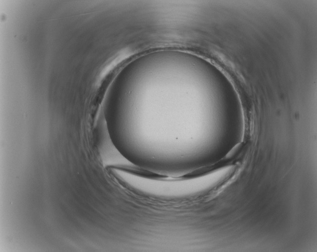 X0000085291453200703231820