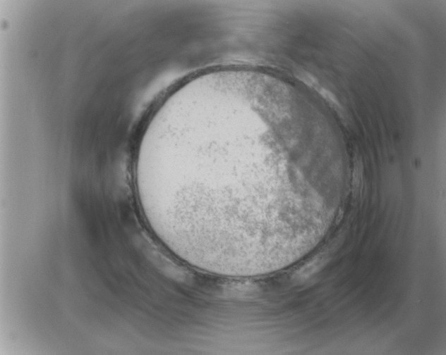 X0000085291454200703231820