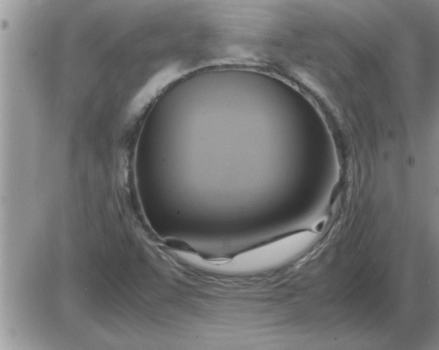 X0000085291455200703231820