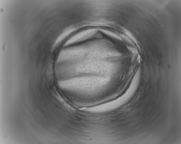 X0000085291456200703231820