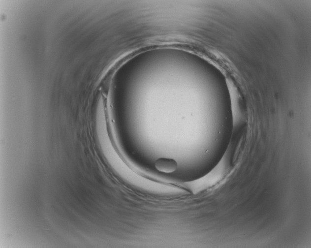 X0000085291457200703231820