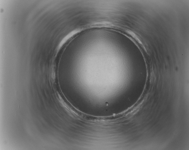 X0000085291458200703231820