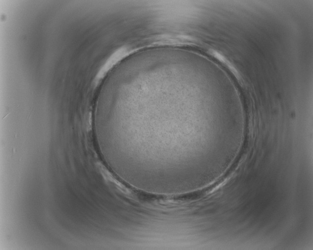 X0000085291459200703231820