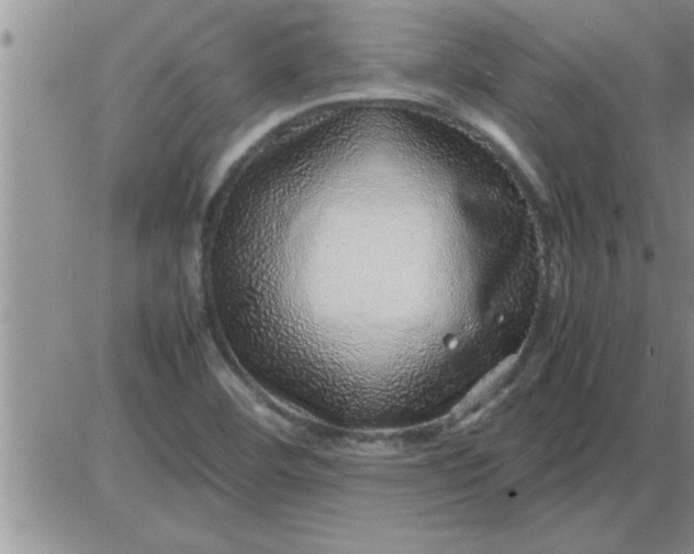 X0000085291460200703231820