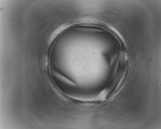 X0000085291461200703231820