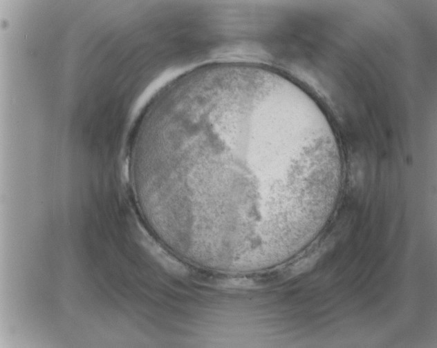 X0000085291462200703231820