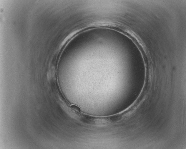 X0000085291465200703231820