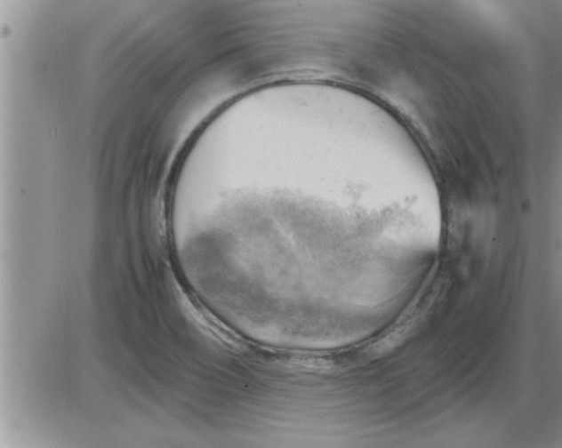 X0000085291466200703231820