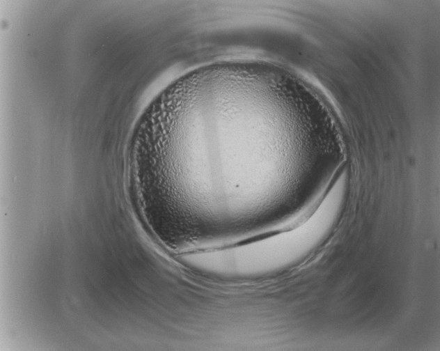 X0000085291467200703231820