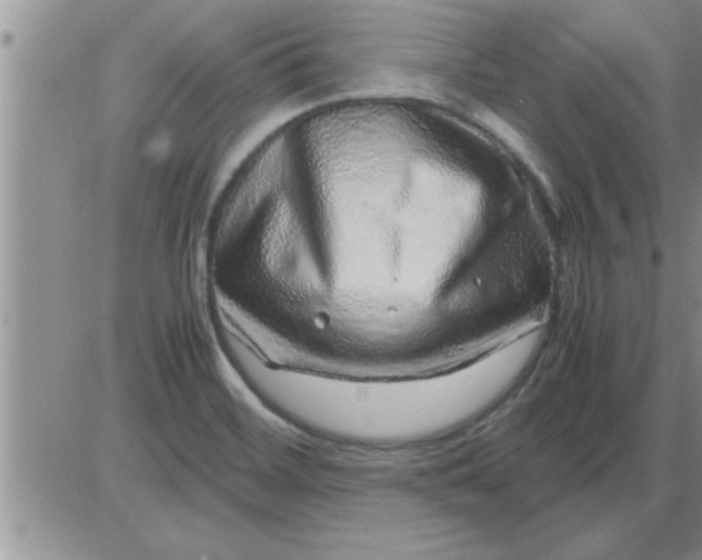 X0000085291468200703231820