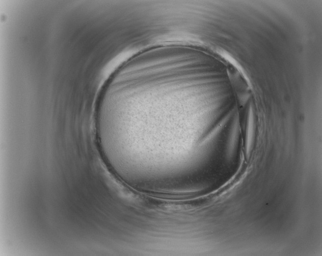 X0000085291469200703231820