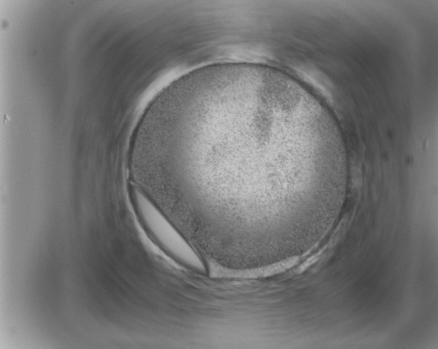 X0000085291471200703231820